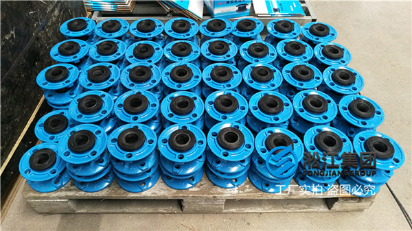 杭州橡胶接头：反洗泵用DN65挠性接头