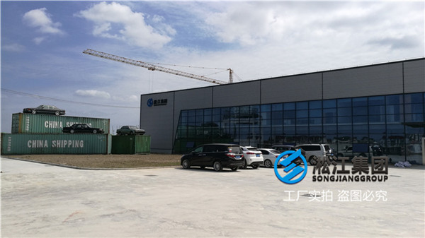 杭州润滑油用DN150橡胶减震器